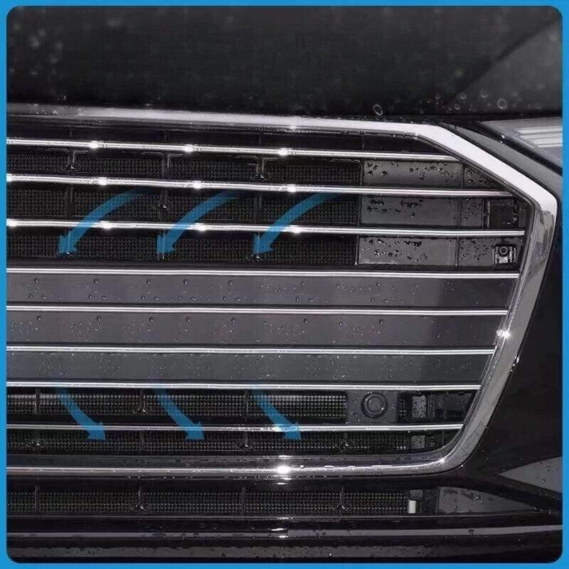 Bug Guard for Geely Riddara RD6 - Geelyevs