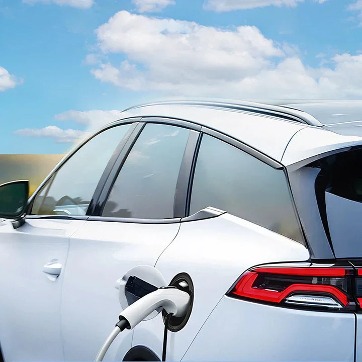 V2L Electric Vehicle Discharger