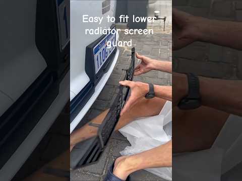 Grille Proof Net for Geely EX5