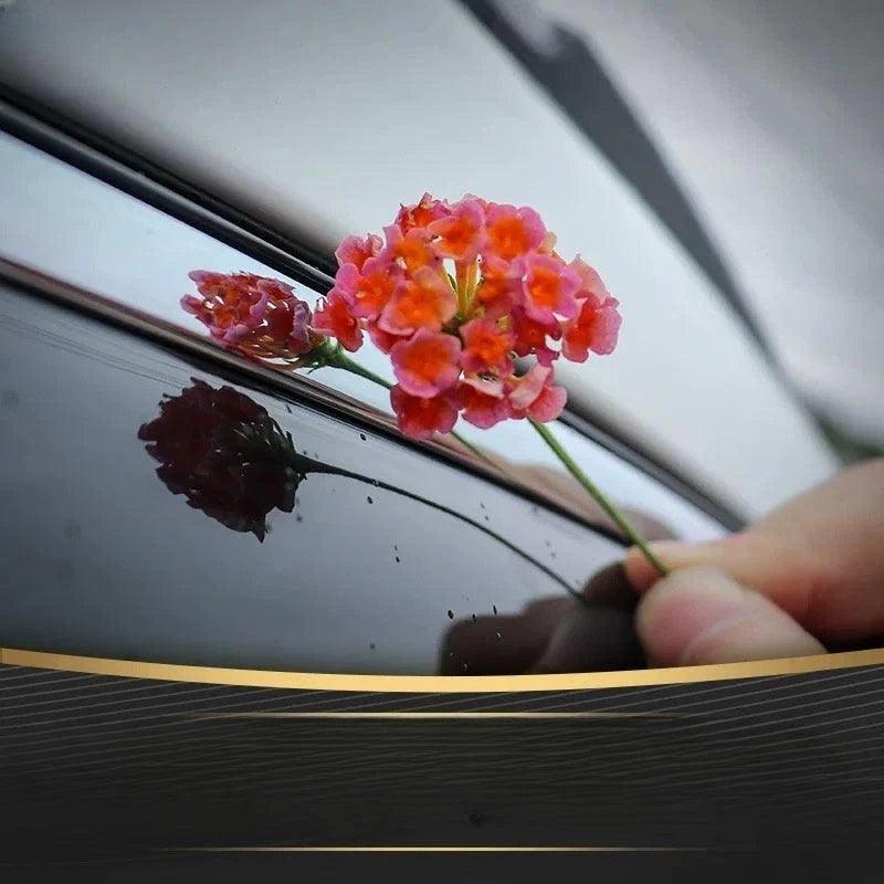 Window Visors for Geely - Geelyevs